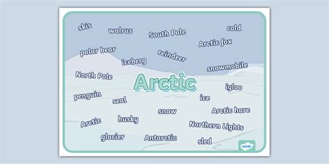 Arctic Vocabulary Display Poster Teacher Made Twinkl