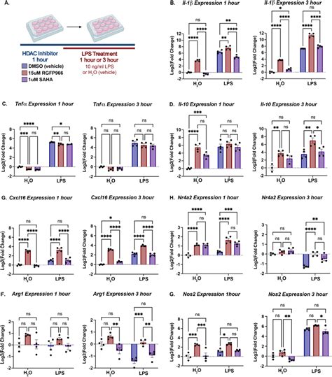 Hdac Inhibition Modulates Lps Regulated Gene Expression A