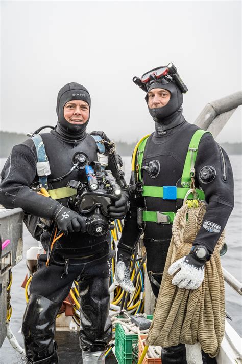 SEA OTTERS - only where you have walked have you beenonly where you