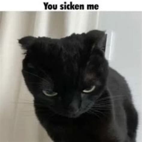 Tina On Twitter What The Fuck Do I Even Say To This Bro Https T Co M Jcelyzu Twitter