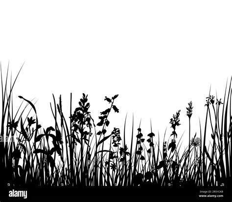 Vector Illustration Grass Background For Design Use Stock Vector Image And Art Alamy