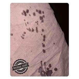 Venecia Profile Page XVIDEOS