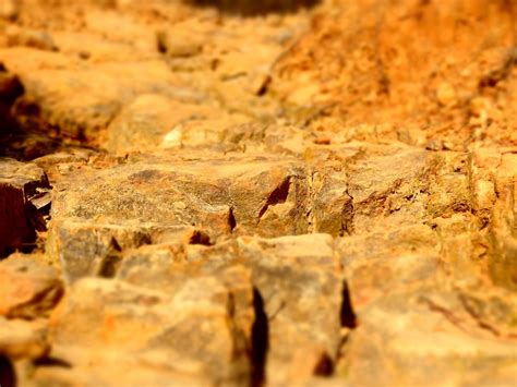 Gratis Afbeeldingen Natuur Rots Structuur Hout Rood Bodem