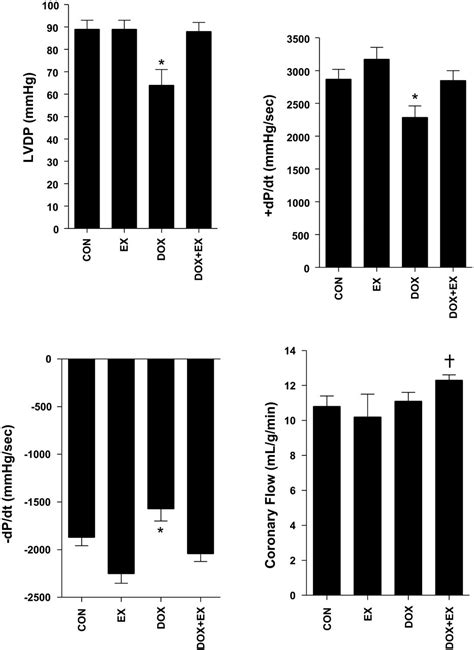 Low Intensity Exercise Training During Doxorubicin Treatment Protects