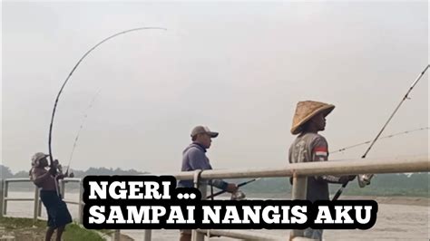 Ngeri Mancing Sengget Mancing Garong Di Pintu Air Bendung Gerak