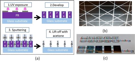 A Schematic Illustration Of The Mesh Patterning Process B