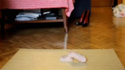 Dildo Trample With White Stockings Passion For Crushing Clips Sale