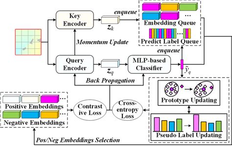 The Overall Process Of The Prototype Based Contrastive Representation Download Scientific