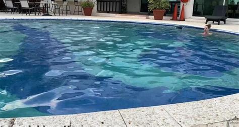 Queen Shakti Morning Swim In My New Bikini