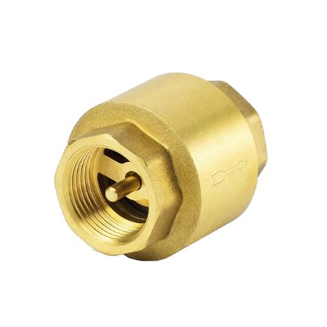 Вертикальный клапан обратный: 110 ZB 110 PION - Karmat