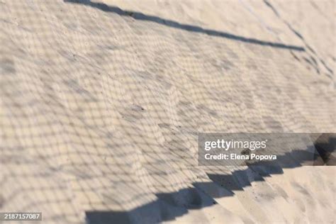 63 Volleyball Court Texture Stock Photos High Res Pictures And Images