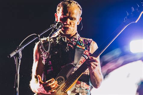 Flea elige su canción favorita de los Red Hot Chili Peppers