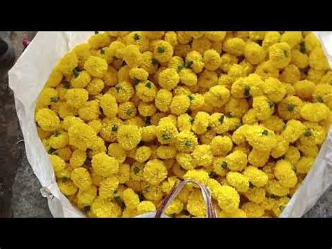 Flower Rates At Chikkaballapura Flower Market 09 03 24 YouTube