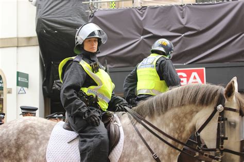 Police Riding Horse