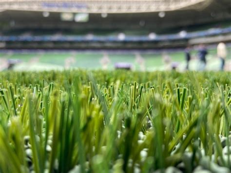 Palmeiras Inaugura Novo Gramado Sint Tico No Allianz Veja Fotos