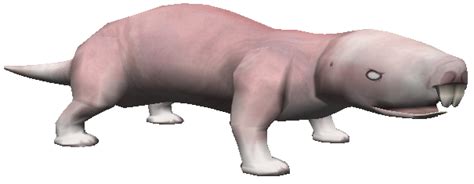 The Fascinating World Of Naked Mole Rats