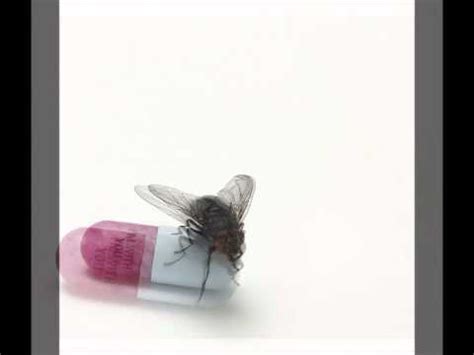 Red Hot Chili Peppers Annie Wants A Baby Guitar Pro Tab Ver Tablatura Online O Descargar