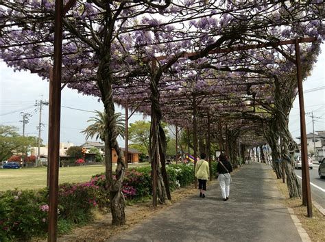 THE 15 BEST Things to Do in Yame (2025) - Must-See Attractions