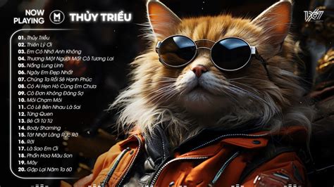 Nhạc Remix Hot Trend TikTok Top 20 Bài Hát Hot Nhất Trên TikTok BXH Nhạc Trẻ Remix Mới Nhất