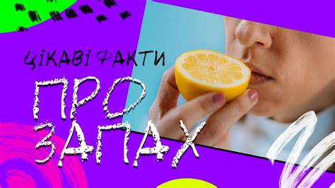 Цікаві факти про запах #запах #ванілін #парфум #хвоя #мозок # ...