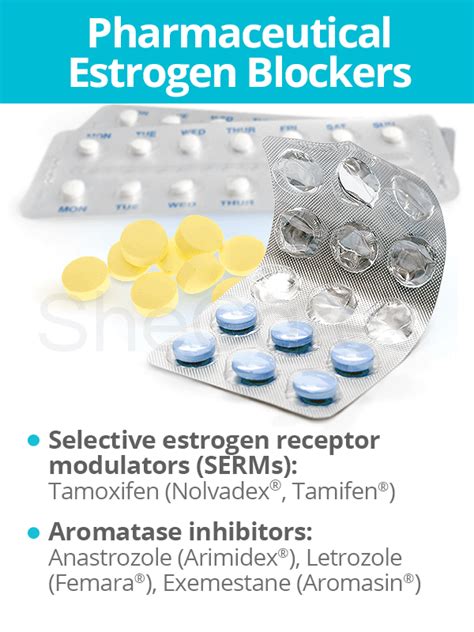 Estrogen Blockers | SheCares