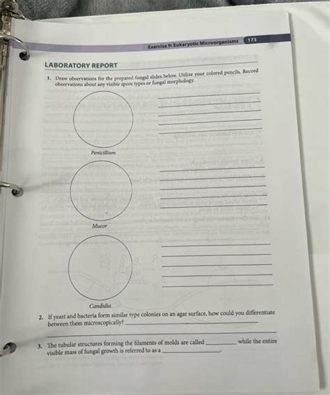 Solved 1. Draw obvervations for the prepared fungal slides | Chegg.com