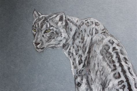 Leopardo De Nieve Dibujo Original Etsy España