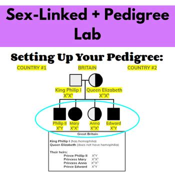 Genetics Unit Plan Complete Incomplete Codominance Sex Linked Pedigrees