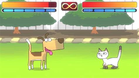Cat vs dog