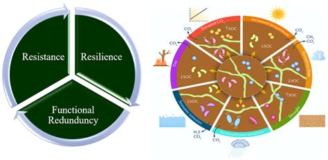Soil Microbial Responses to Changing climate. | Download Scientific Diagram