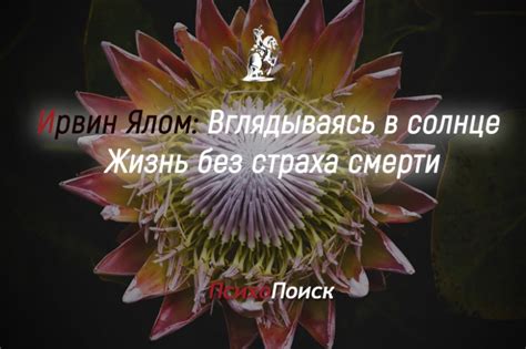 Ирвин Д. Ялом «Вглядываясь в солнце. Жизнь без страха смерти»