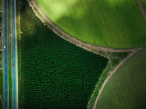 A Drone Shot Of Art Works In A Farm Fields · Free Stock Photo
