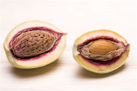 Almond fruit with seed stock photo. Image of endocarp - 125879958