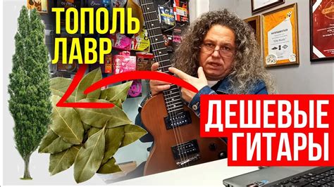 ДЕШЕВАЯ ГИТАРА ИЗ ТОПОЛЯ И ЛАВРА - YouTube