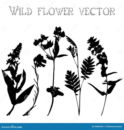 Set Silhouettes Of Wild Flowers Vector Stock Vector Illustration Of