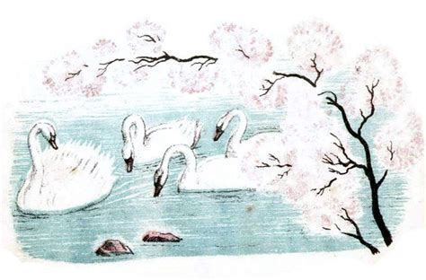 Иллюстратор Елена Сафонова.Автор Hans Christian Andersen.Сказка "Гадкий ...