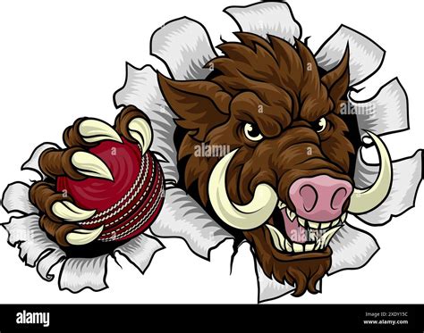 Boar Wild Hog Razorback Warthog Pig Cricket Mascot Stock Vector Image