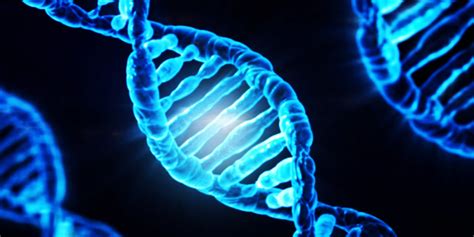 AltraBio on LinkedIn: Home - Immunotherapies & Innovations for ...