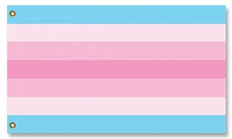 Transfeminine Pride Flag Pride Flags Pride Flag