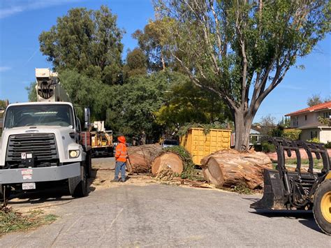 North Long Beach residents prepare for a massive community event 16