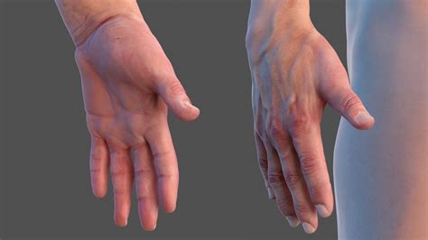 Male Full Body Nude D Model Ds Blend C D Fbx Ma Obj Max Free D