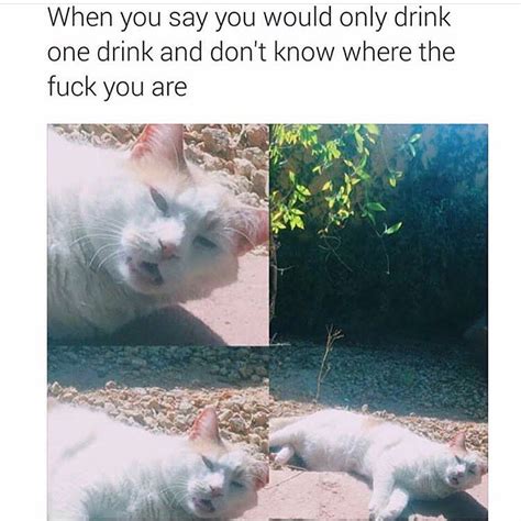 When You Say You Would Only Drink One Drink And Don T Know Where The Fuck You Are Funny