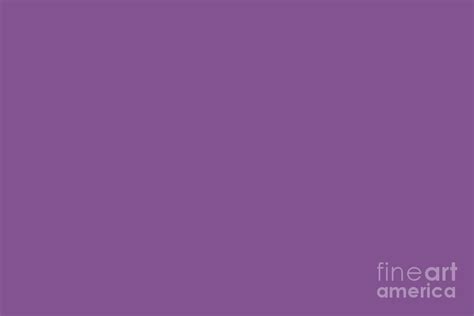 Valspar America Cosmic Berry Bright Purple 4001 10c Solid Color Digital