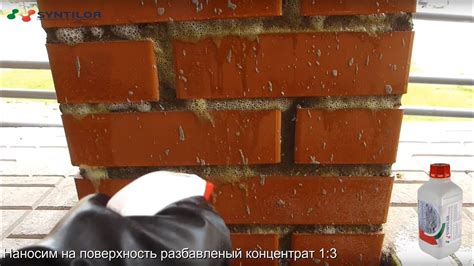 Смывка цемента SYNTILOR Cemento - YouTube