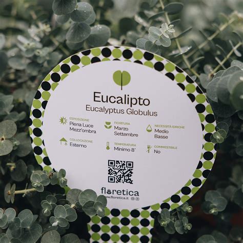 Floretica | Brand Indentity & Web Design | Labbestia