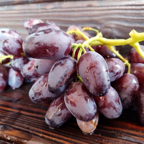 Основные сведения о сорте винограда «Дамские пальчики»