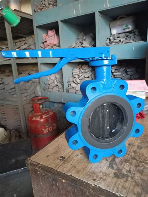 Metal Lug Type Butterfly Valve For Water Fitting Feature Casting