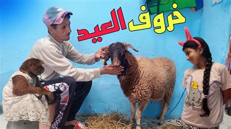 وأخيرا اشترينا خروف العيد🐑هاد لعيد ماشي فحال كاع الاعياد😳🔴 Youtube