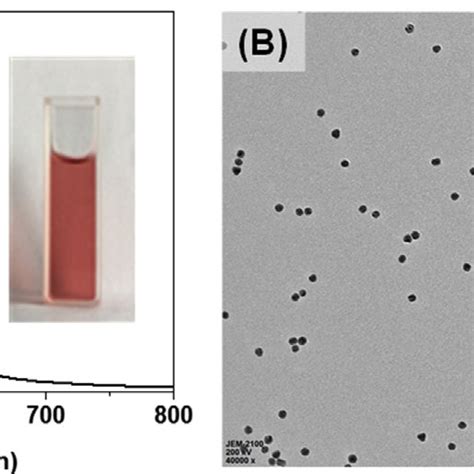 A Uv Vis Absorption Spectra Of The Diluted Gnps And The Optical Image