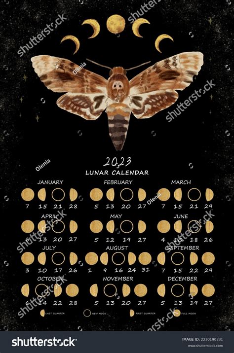 Lunar Calendar 2023 Moon Phases Calendar Stock Illustration 2230190331